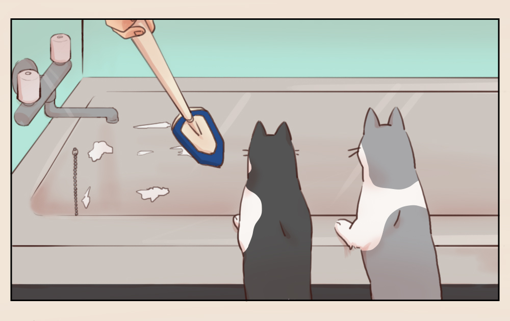 姉妹ねこ日記11