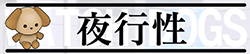 夜行性