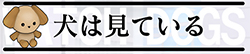 犬は見ている
