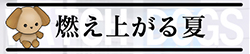 燃え上がる夏